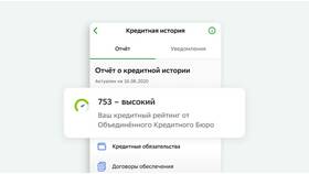 Что показывает бюро кредитных историй в Шатура