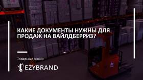 Как найти информацию об ИП продавца на Wildberries в Шатура
