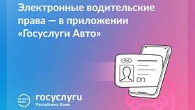 Как получить электронные водительские права через Госуслуги в Шатура