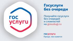 Как получить РОХА через Госуслуги в Шатура
