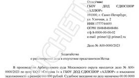 Как правильно называются заявления в суд в Шатура