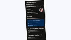 Как правильно оформиться на Авито в Шатура