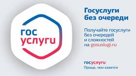 Как проверить деятельность ЖКХ через портал Госуслуги в Шатура