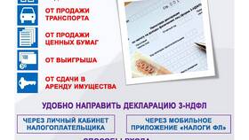 Как сдать налоговую декларацию через Госуслуги в Шатура