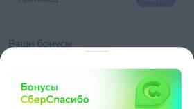 Как списать бонусы Спасибо в Еаптеке в Шатура