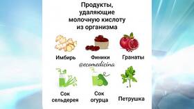 Как вывести кислоту из организма в Шатура