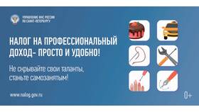Налог на профессиональный доход (НПД) для ИП: что это в Шатура