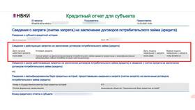 Почему не одобряют кредит после снятия самозапрета в Шатура