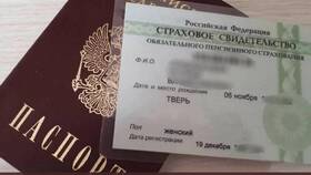 Почему не принимают СНИЛС в Шатура