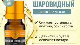 Применение эвкалипта в различных сферах в Шатура