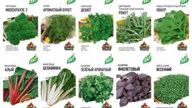 Сколько стоит укроп в Пятерочке в Шатура