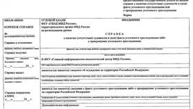 Сроки получения справки о судимости через Госуслуги в Шатура