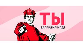 За что предприниматель платит налоги в Шатура