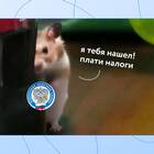 Почему самозанятые платят налоги